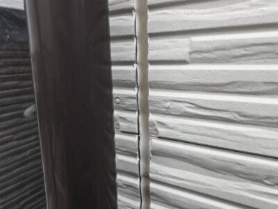 IMG_5891.jpeg