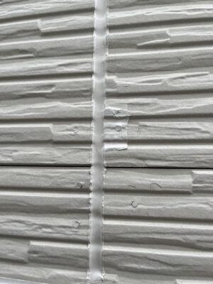 IMG_5916.jpeg