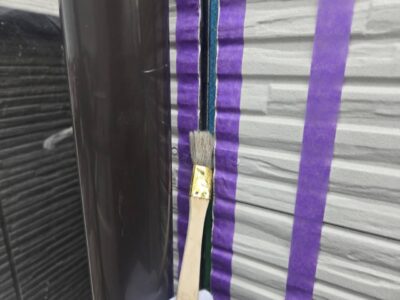 IMG_5918.jpeg